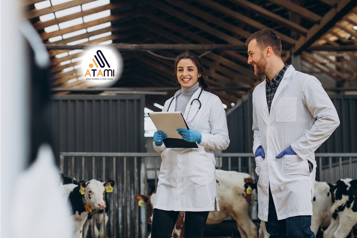 Bảo vệ: THIẾT KẾ HỘP SỮA ATAMI